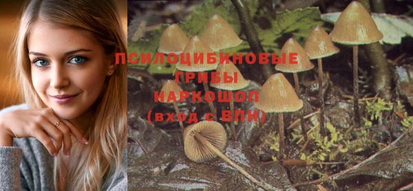 стафф Абдулино