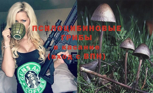 стафф Абдулино