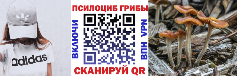 Галлюциногенные грибы мухоморы  Барнаул 