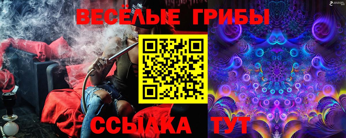 Галлюциногенные грибы ЛСД Барнаул